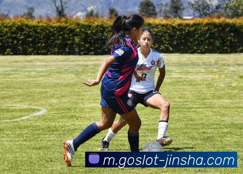 金沙娱乐APP 封面图